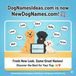 dognamesideas.com is now newdognames.com